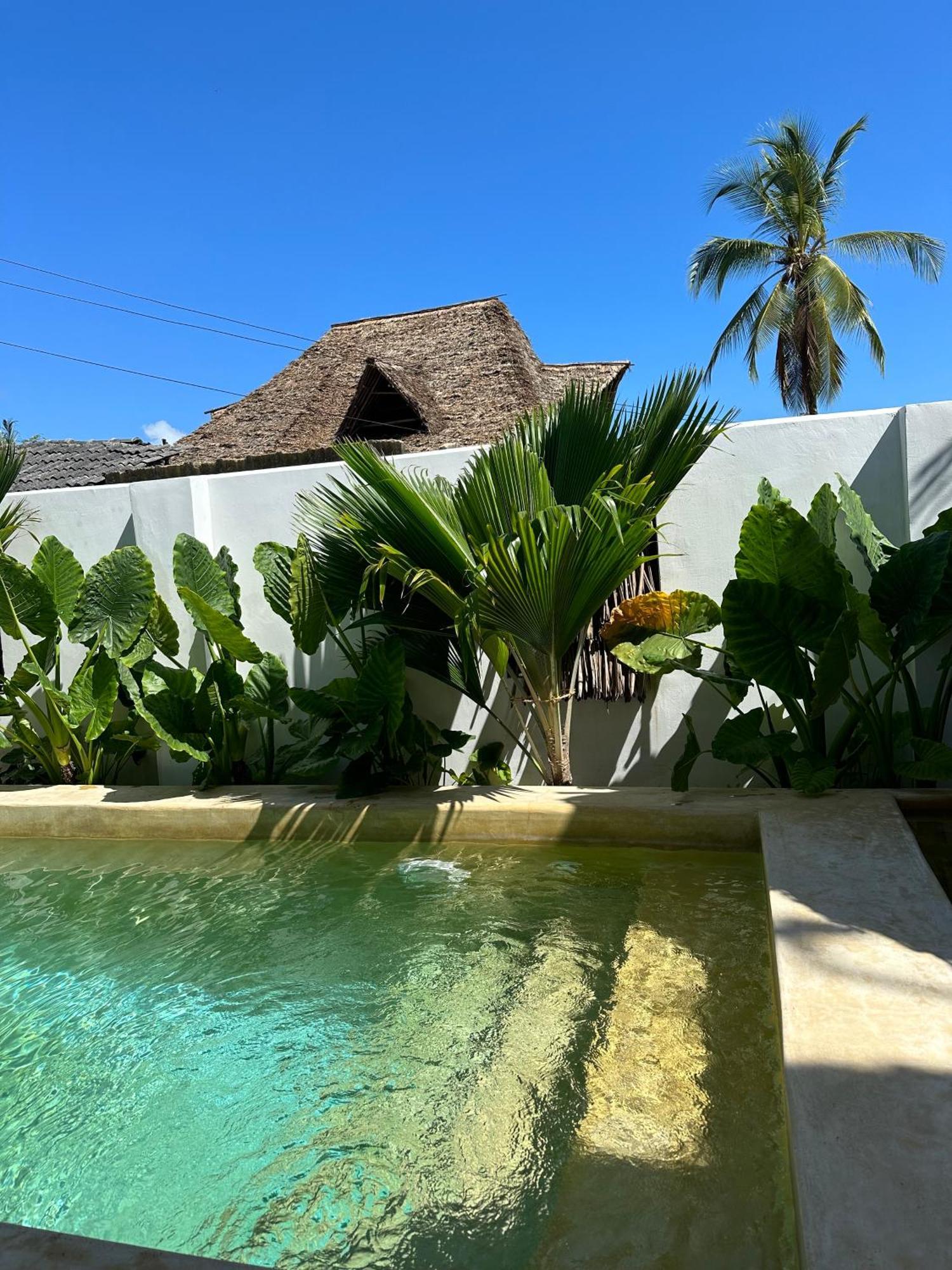 Mlango Paje Villa Boutique Экстерьер фото